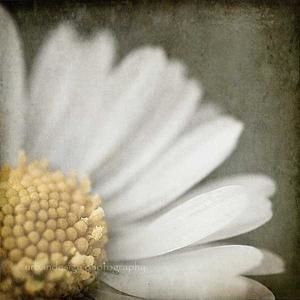 Meet your Posher, Sheila